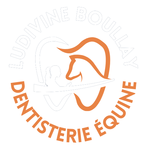 LB DENTISTERIE ÉQUINE