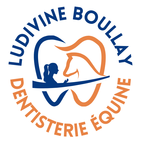 LB DENTISTERIE ÉQUINE