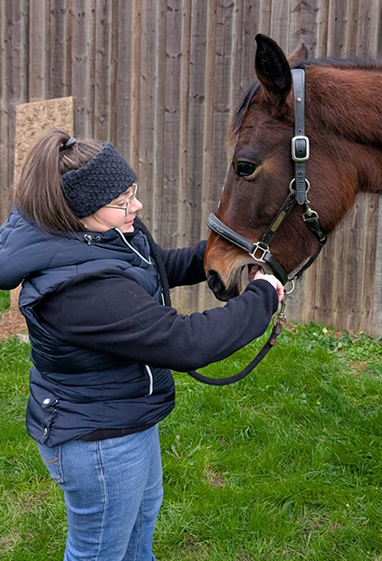 Soins dentaires chevaux à Versailles, Chartres et Dreux
